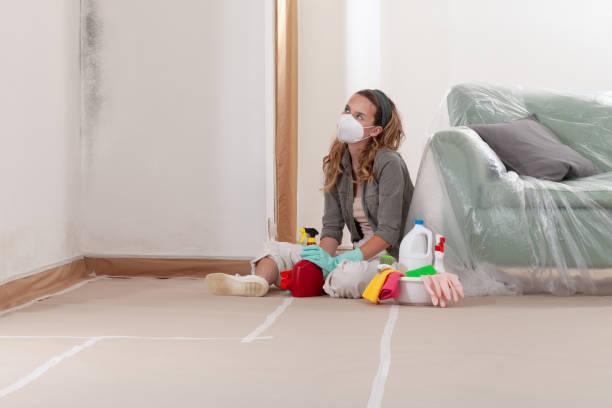Reliable Mold Testing contractor in Freeland, MI by WQB Mold Removal